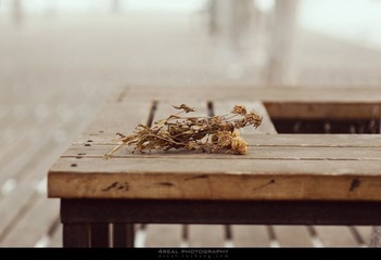 DSC_3459.jpg