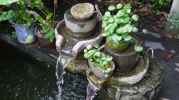 P1010781