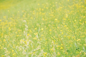 8C3F91FA-D835-4F67-960C-DFB1EC42AB89/L0/001