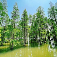 18D7044B-2A93-416B-B7C2-3A754A09E2B8/L0/001