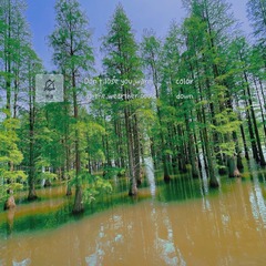 E8D73DAB-47D9-4D2E-8319-B444702D0454/L0/001