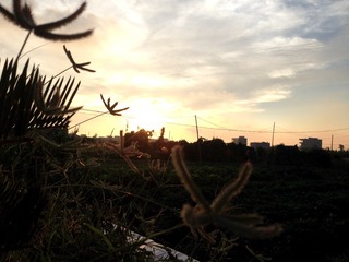 22D0ED84-4E3E-434E-BAA9-55F70BCE9036/L0/001