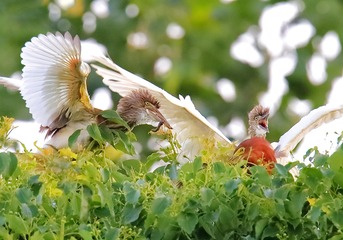 09－“谢谢老妈”