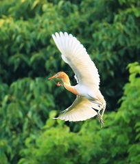 空中圆舞曲