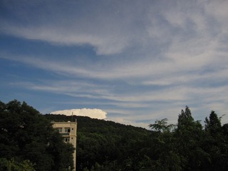 层
