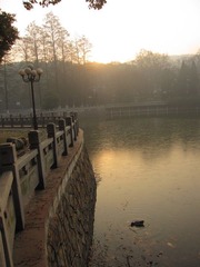 晨