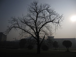 明