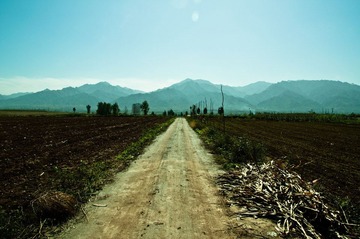DSC_0052-2.jpg