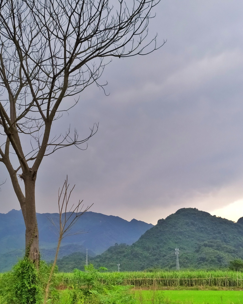 凝泪出门昏昏的灯溟溟的雨沉沉的未晓天凄凉的情绪将我的愁怀占住凄绝