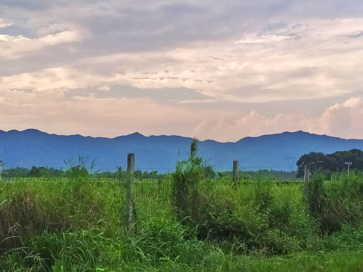 凝泪出门昏昏的灯溟溟的雨沉沉的未晓天凄凉的情绪将我的愁怀占住凄绝