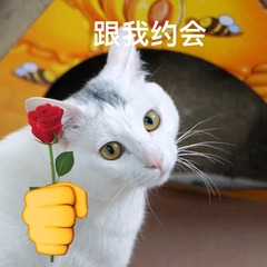 2BAE45CD-E25D-4A07-A702-373E9C2F9BB8/L0/001
