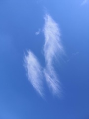 1907866