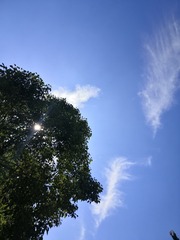 1907861
