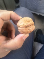 97