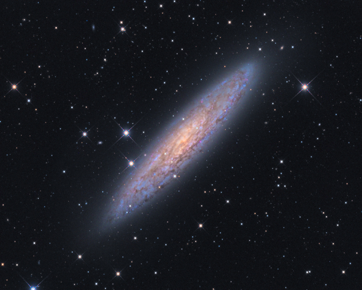 玉夫座星系是一个星爆星系,意味着它还有着密集的