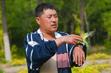 养鹦鹉的人8241小.jpg