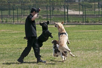 游戏9523小.jpg