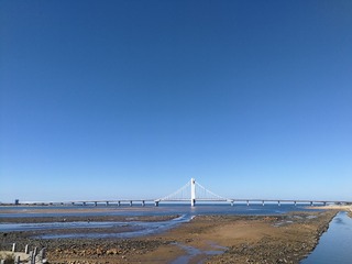 201