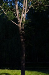 IMGP0869.jpg