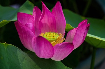 IMGP1225.jpg