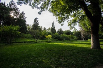 IMGP1359.jpg