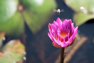 ZEN_7712