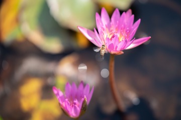 ZEN_7783