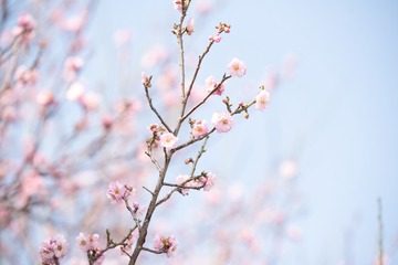 ZEN_7661