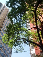 IMG_20120505_140944.jpg