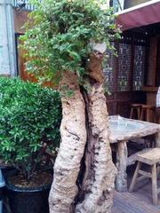 IMG_20120501_182630.jpg