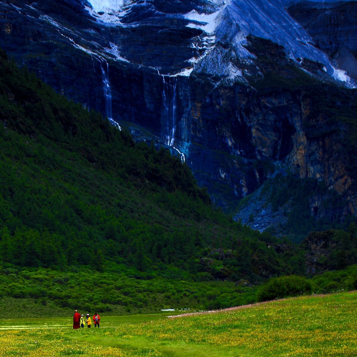 走向大山