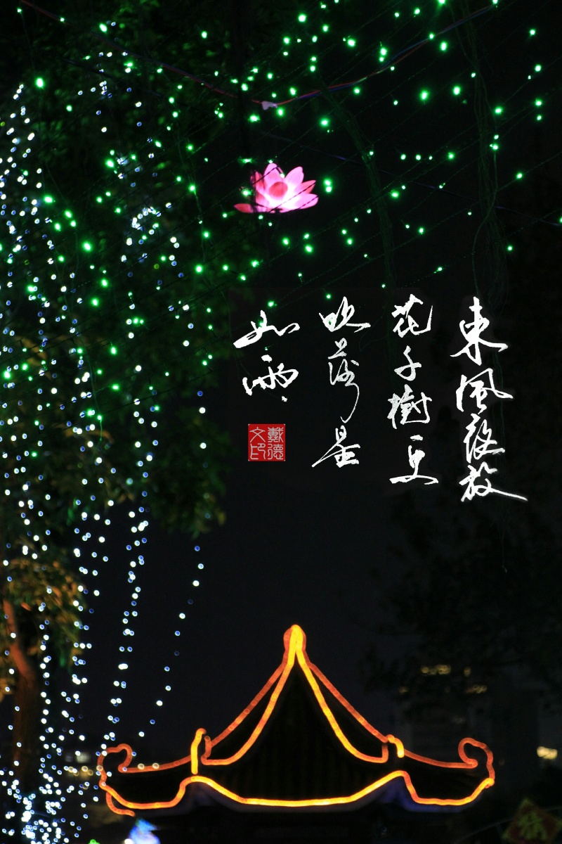 摄影中国风更吹落星如雨