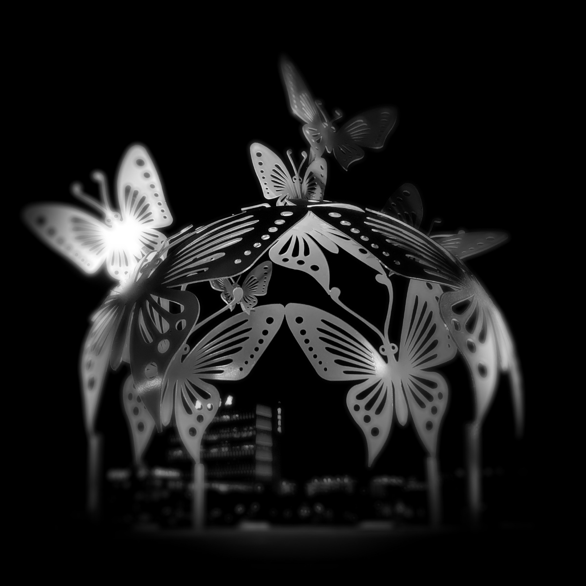 蝴蝶传奇(黑白)