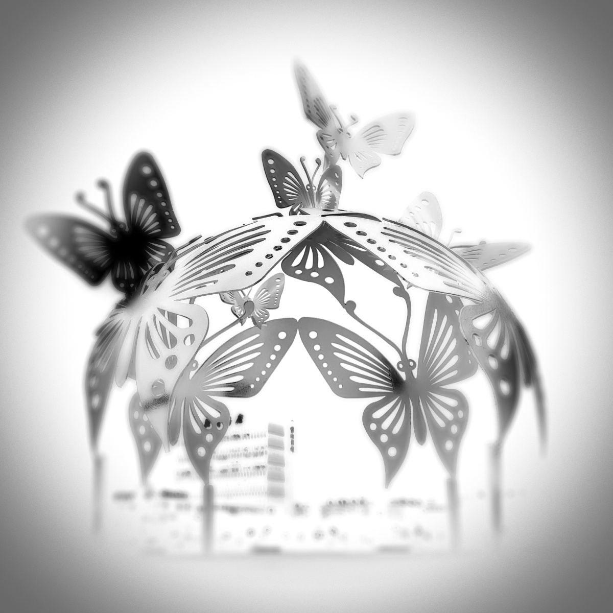 蝴蝶传奇(黑白负片)