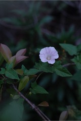 9694157E-D077-4CBA-85EA-CD3AFDD5FAA5/L0/001