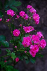 D74F2F2D-AF99-4764-8865-168ED7C6F16D/L0/001