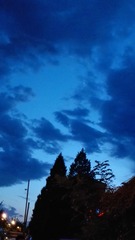 9D205993-28E3-4CB9-8784-3F05AA94DDD4/L0/001