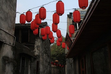 IMG_8995.JPG