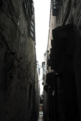IMG_9086.jpg