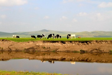 IMG_6037.JPG