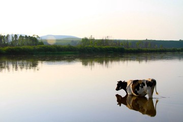 IMG_6439.JPG