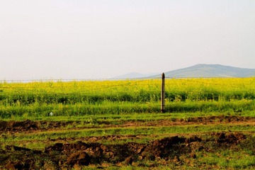 IMG_6496.JPG