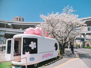 338341