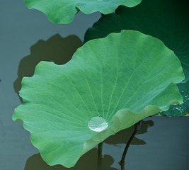 125518