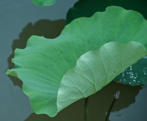 125519