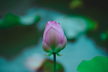 125531