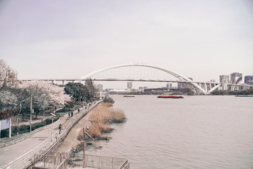 338084