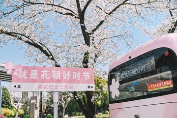 338358
