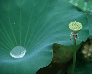 125506