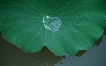 125502